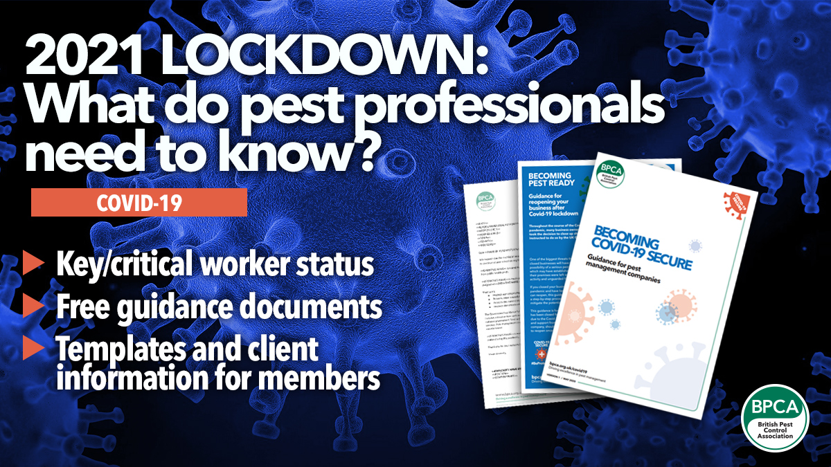 Lockdown 2021 pest advice pest control BPCA Lockdown 2021 pest advice pest control BPCA